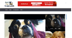 Desktop Screenshot of bestpetvideo.com
